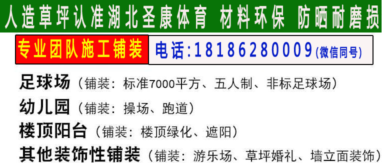 足球場(chǎng)人造草坪圖片/足球場(chǎng)人造草坪樣板圖 (4)