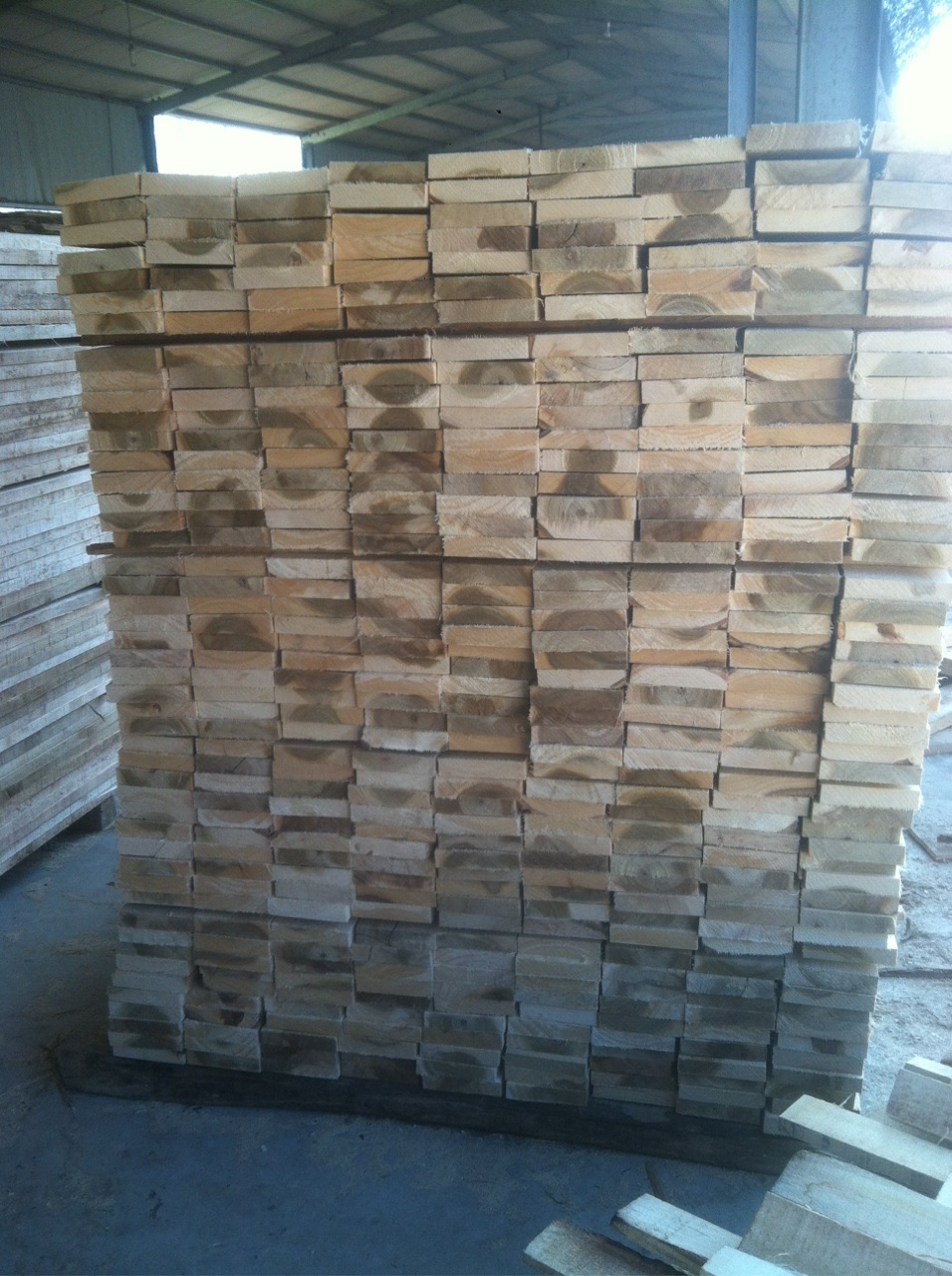 萊州楊木方加工廠圖片/萊州楊木方加工廠樣板圖 (4)