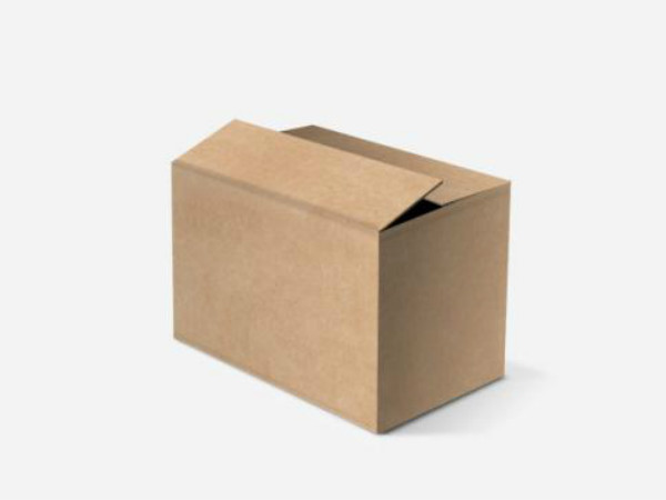 深圳紙箱圖片/深圳紙箱樣板圖 (4)