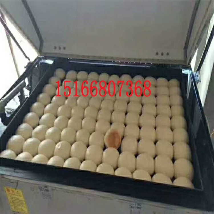 烤饃饃機(jī)圖片/烤饃饃機(jī)樣板圖 (2)