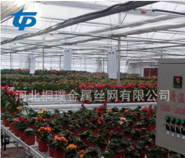 大棚床圖片/大棚床樣板圖 (1)