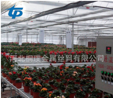 大棚床圖片/大棚床樣板圖 (4)