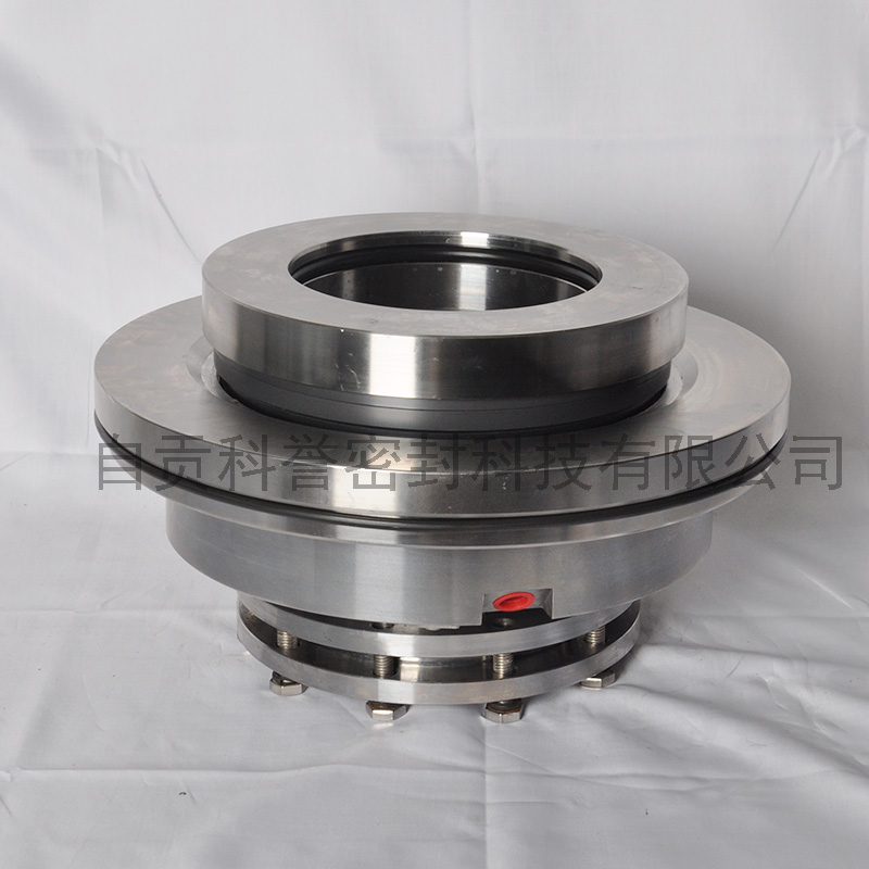 機(jī)械密封圖片/機(jī)械密封樣板圖 (3)