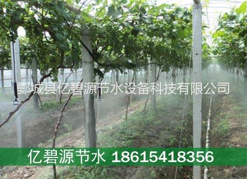 供應(yīng) 四川金口河區(qū)果樹節(jié)水灌溉管子