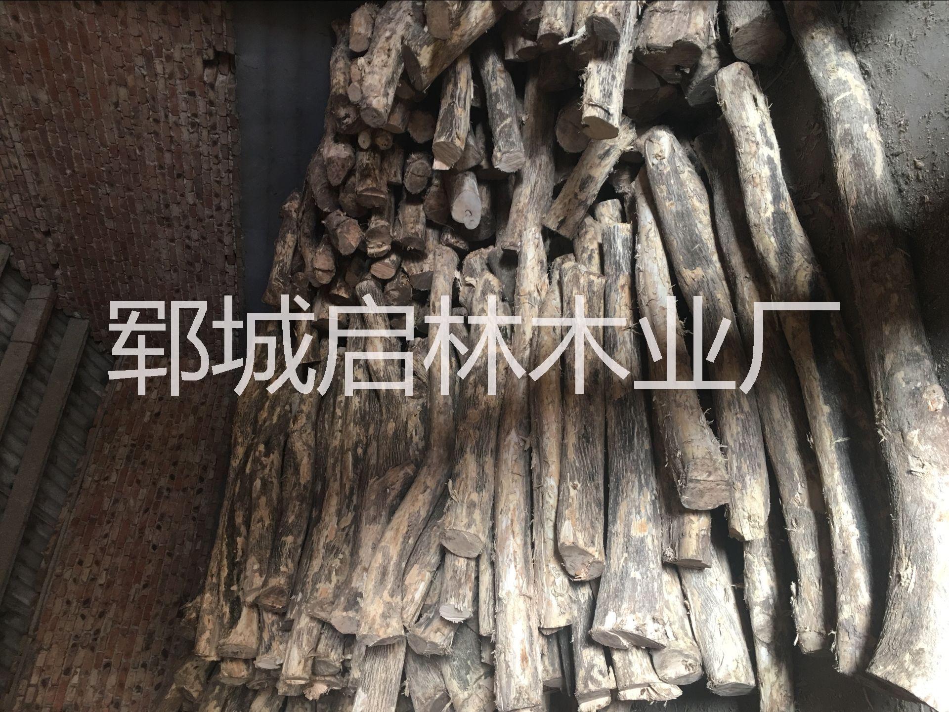 黃楊木原木圖片/黃楊木原木樣板圖 (3)