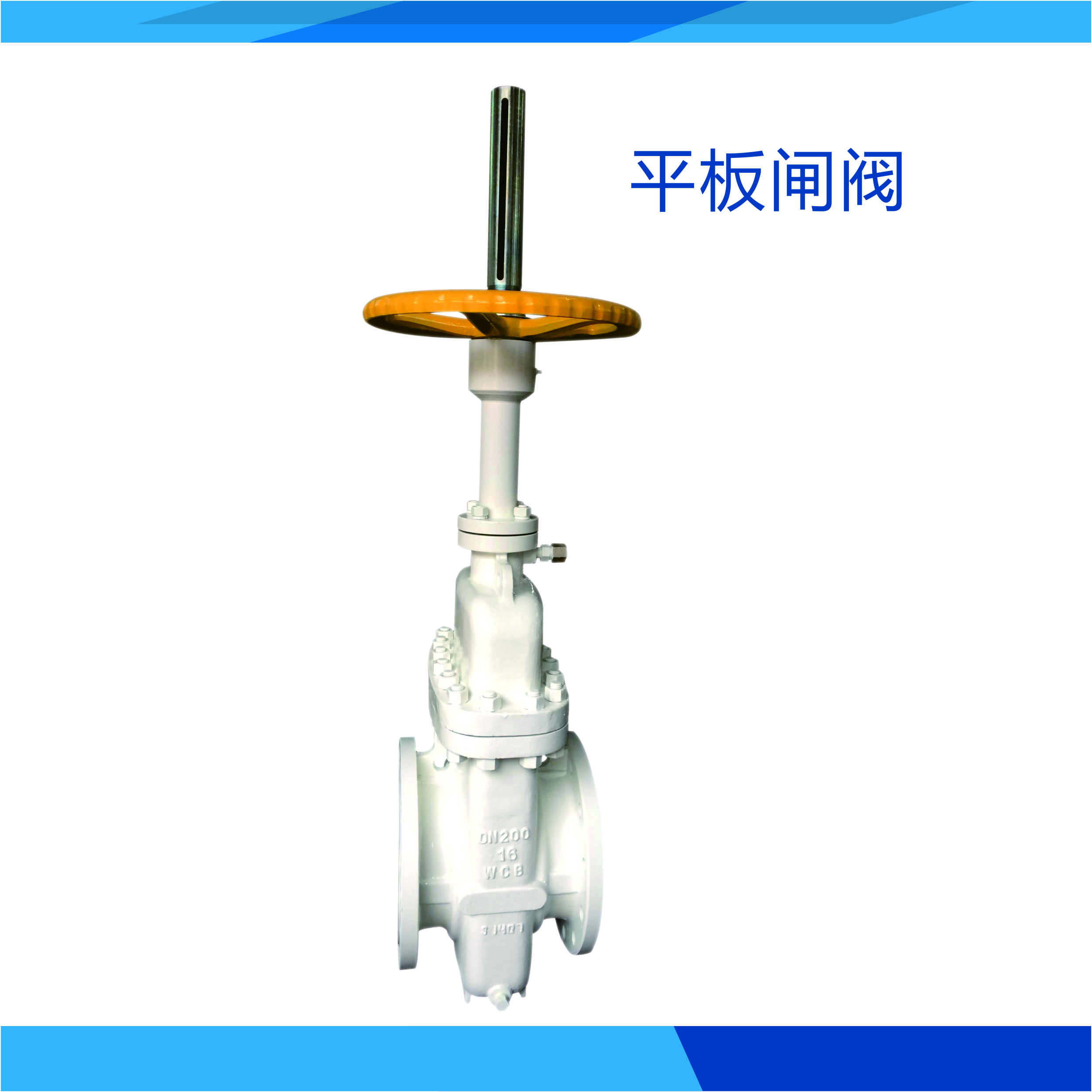 平板閘閥圖片/平板閘閥樣板圖 (3)