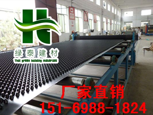 綠泰排水板廠家圖片/綠泰排水板廠家樣板圖 (1)