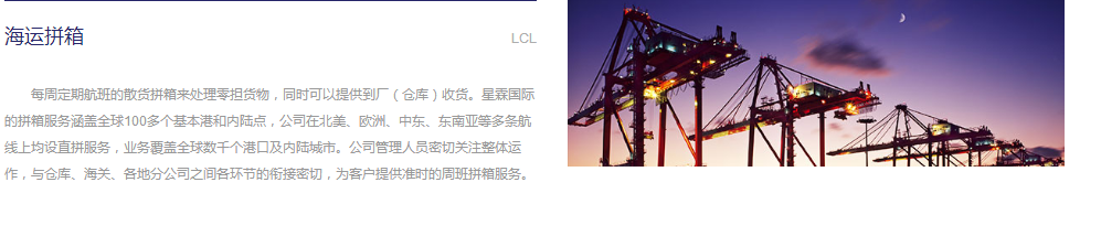 服裝出口圖片/服裝出口樣板圖 (2)