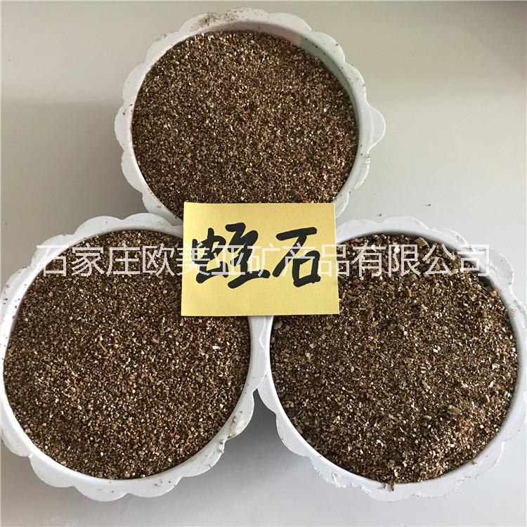 多肉植物種花微景觀*花卉盆栽盆景營養(yǎng)土蛭石