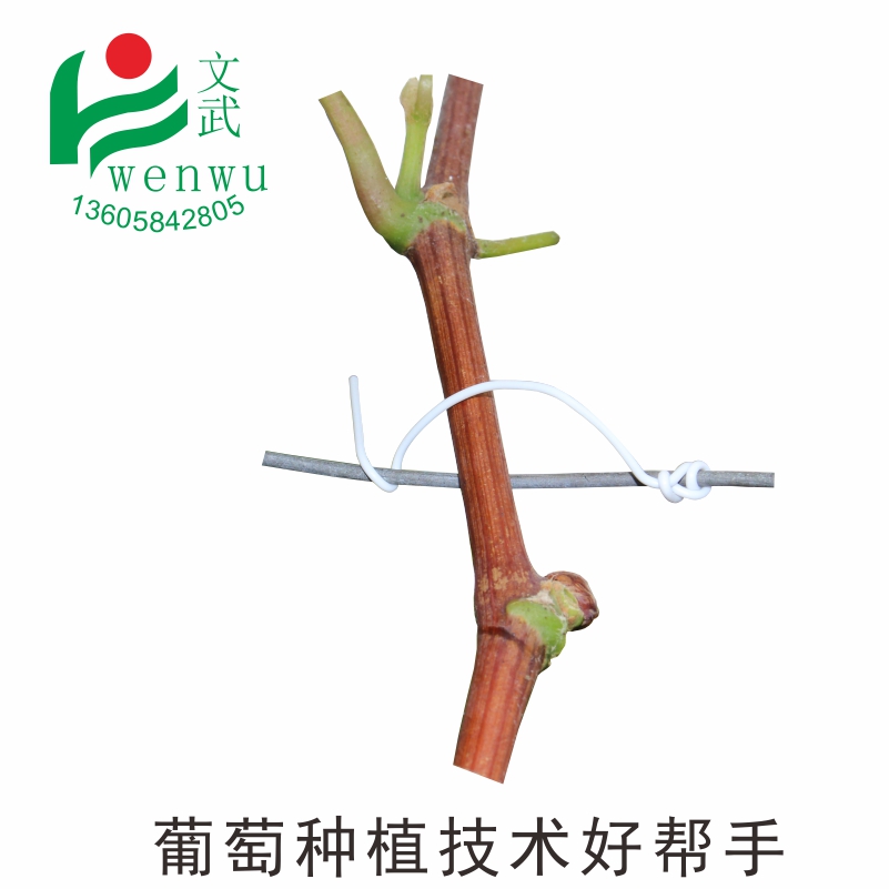 葡萄扎絲綁絲15厘米 繩線帶 鋼絲架絲 獼猴桃線防鳥(niǎo)網(wǎng)扎條綁水管