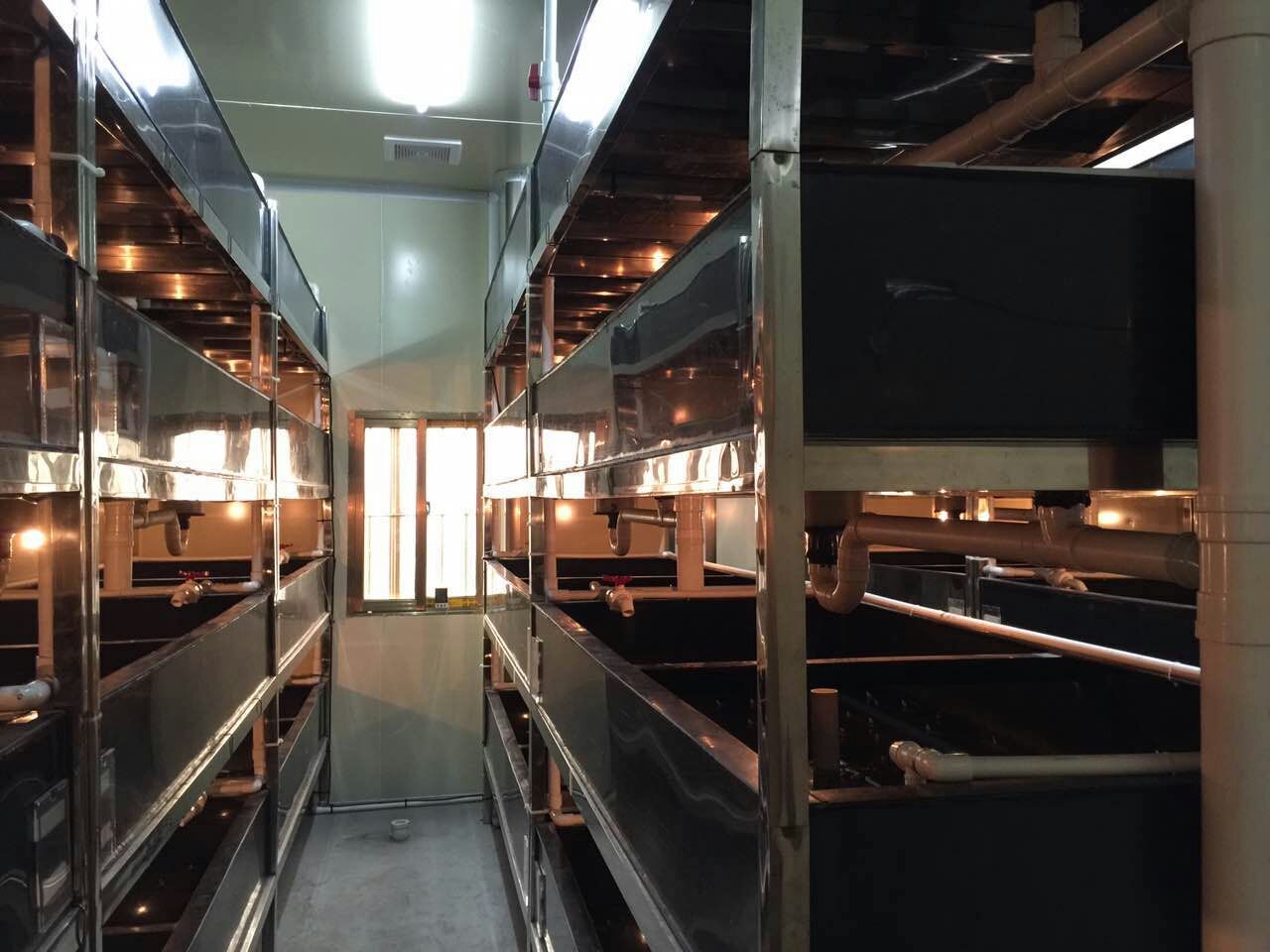 溫室圖片/溫室樣板圖 (3)