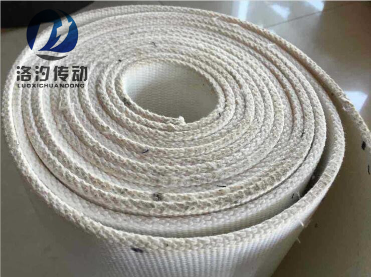 全棉編織帆布帶圖片/全棉編織帆布帶樣板圖 (2)