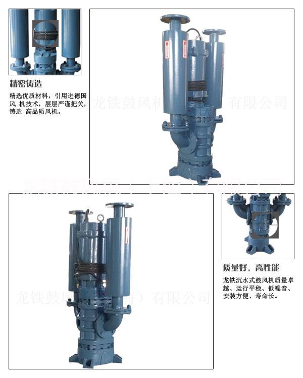 蘇州河道治理沉水式羅茨鼓風(fēng)機圖片/蘇州河道治理沉水式羅茨鼓風(fēng)機樣板圖 (2)