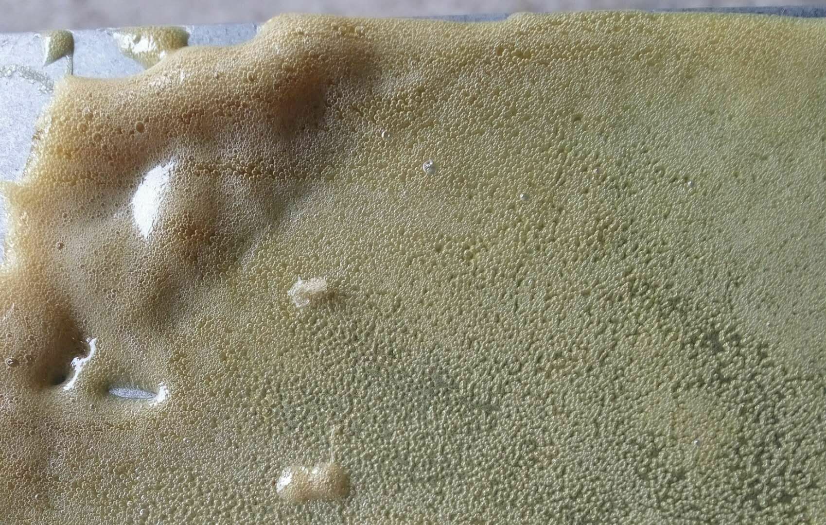 門(mén)發(fā)泡膠圖片/門(mén)發(fā)泡膠樣板圖 (3)