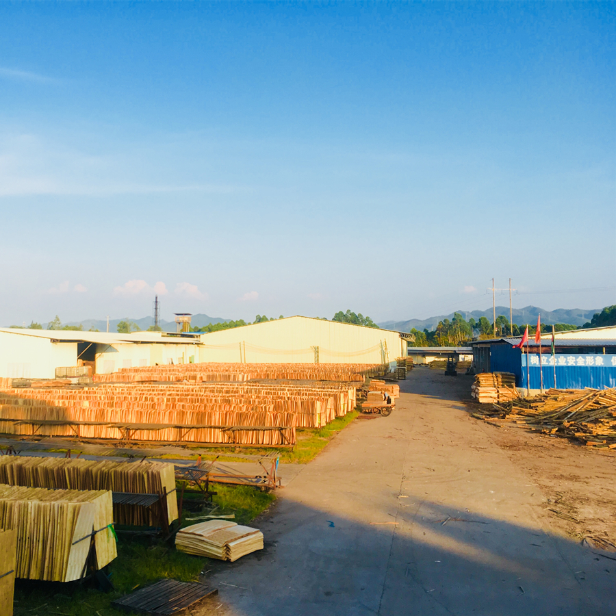 膠合板圖片/膠合板樣板圖 (2)