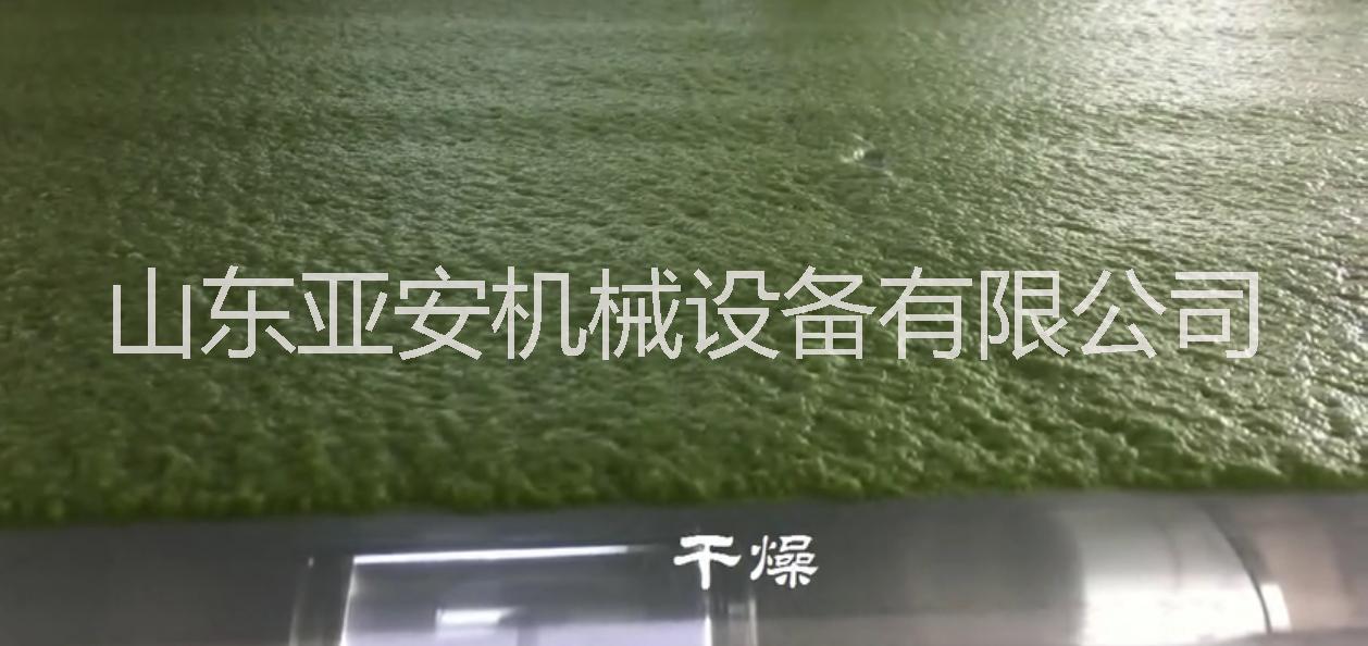 低溫薄層干燥設(shè)備圖片/低溫薄層干燥設(shè)備樣板圖 (3)