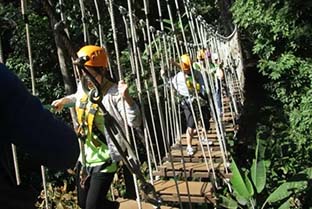 叢林探險設施_ 叢林飛躍生產(chǎn)廠家