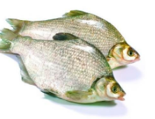 武昌圖片/武昌樣板圖 (4)