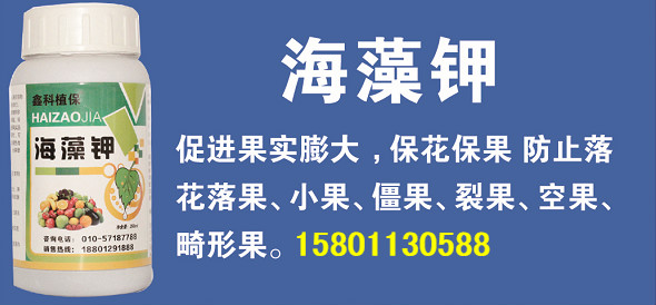 北京鑫科植保 海藻钾 果树葡萄柑橘草莓全营养农资果树叶面肥腐植酸钾生根