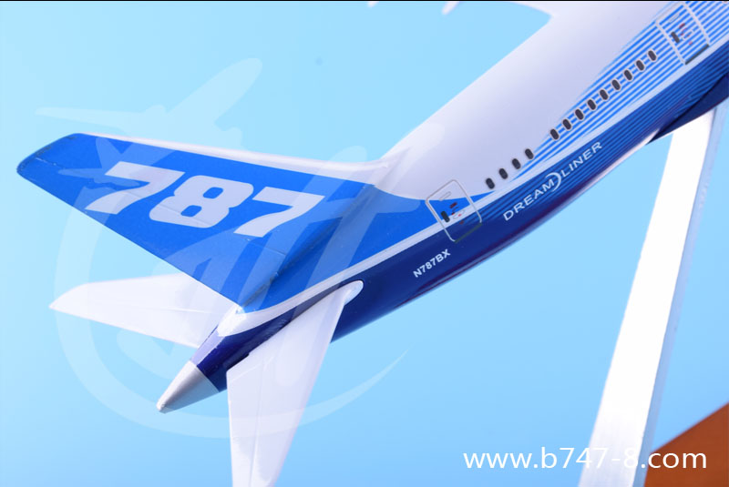 飛機模型圖片/飛機模型樣板圖 (3)