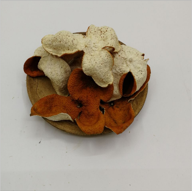 柑皮圖片/柑皮樣板圖 (3)