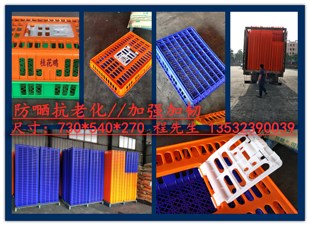 雞籠圖片/雞籠樣板圖 (1)