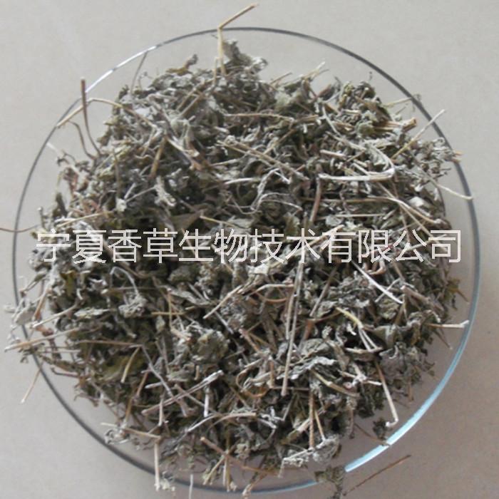 藤茶粉图片