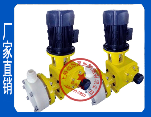 楷陽(yáng)GX電動(dòng)隔膜 楷陽(yáng)電動(dòng)隔膜計(jì)量泵