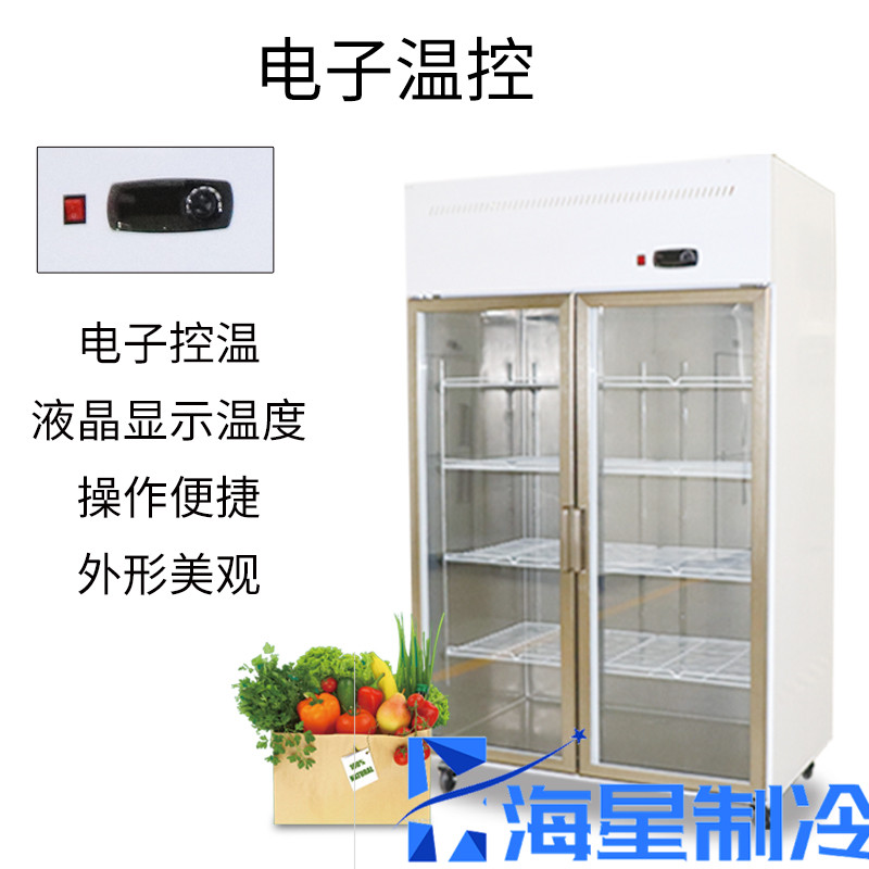 立式冷藏展示柜圖片/立式冷藏展示柜樣板圖 (3)