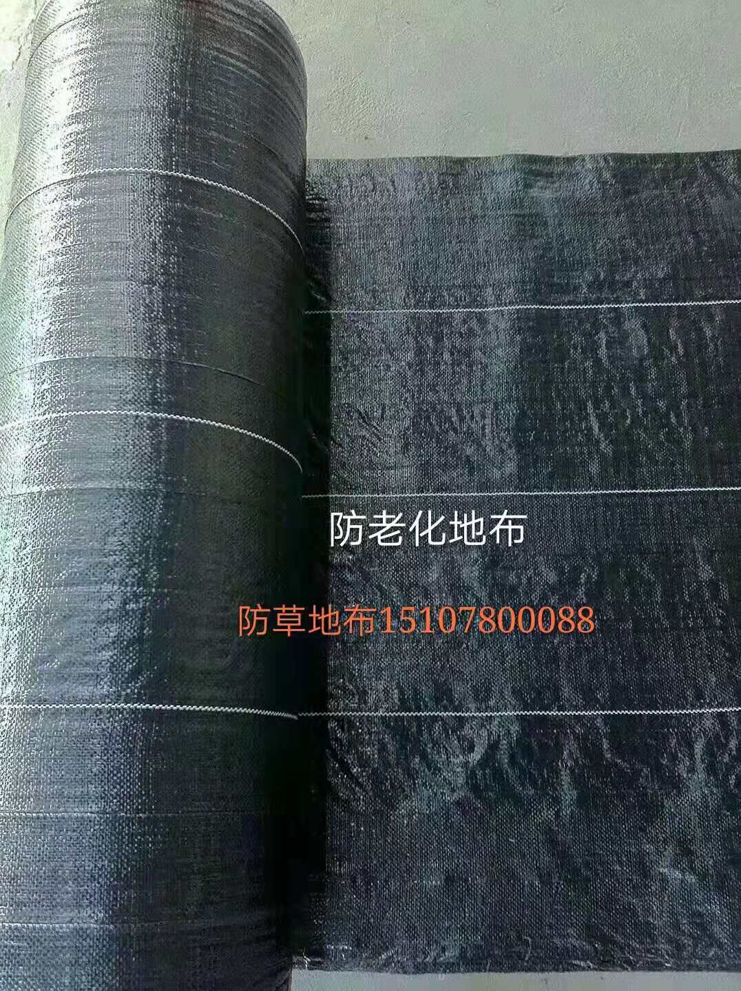 防草地布圖片/防草地布樣板圖 (4)