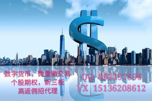數(shù)字貨幣平臺(tái)全年可交易不休市招商