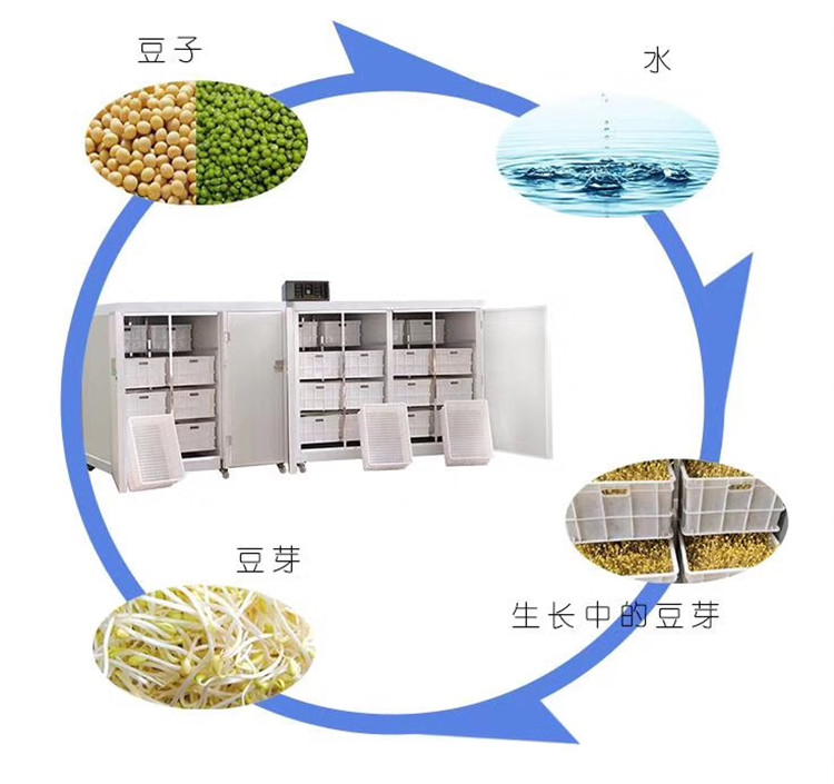 宝鸡生产豆芽设备 自动豆芽机2019新报价 不锈钢豆芽机智能型图片