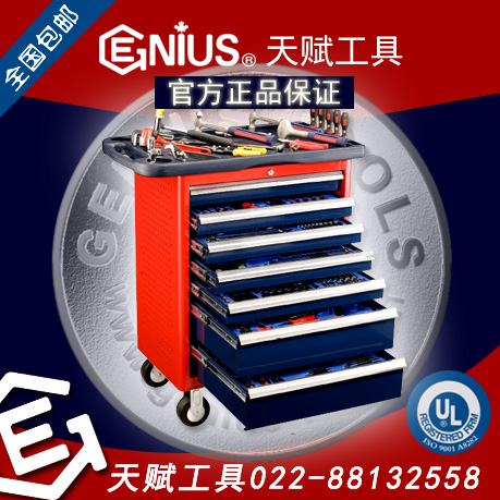 加拿大天賦工具M(jìn)S-236TS 236件套公制綜合工具配工具車Genius 022-88132558