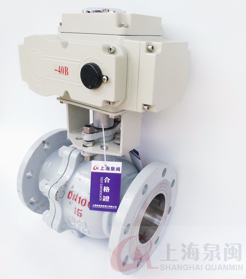 泉閩流量調(diào)節(jié)閥圖片/泉閩流量調(diào)節(jié)閥樣板圖 (4)