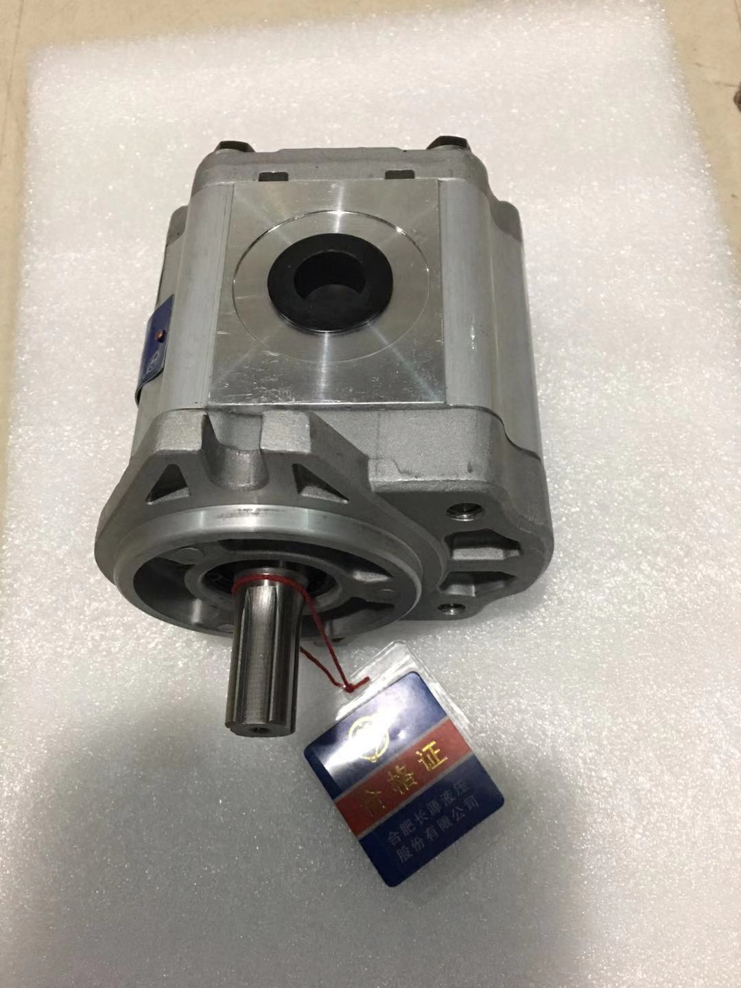 齒輪泵圖片/齒輪泵樣板圖 (2)