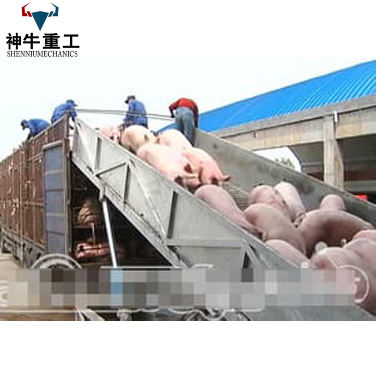 裝卸豬臺圖片/裝卸豬臺樣板圖 (2)