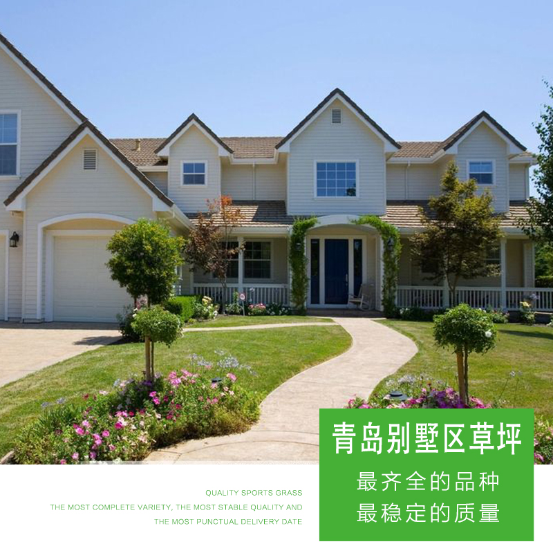 青島別墅區(qū)草坪圖片/青島別墅區(qū)草坪樣板圖 (2)