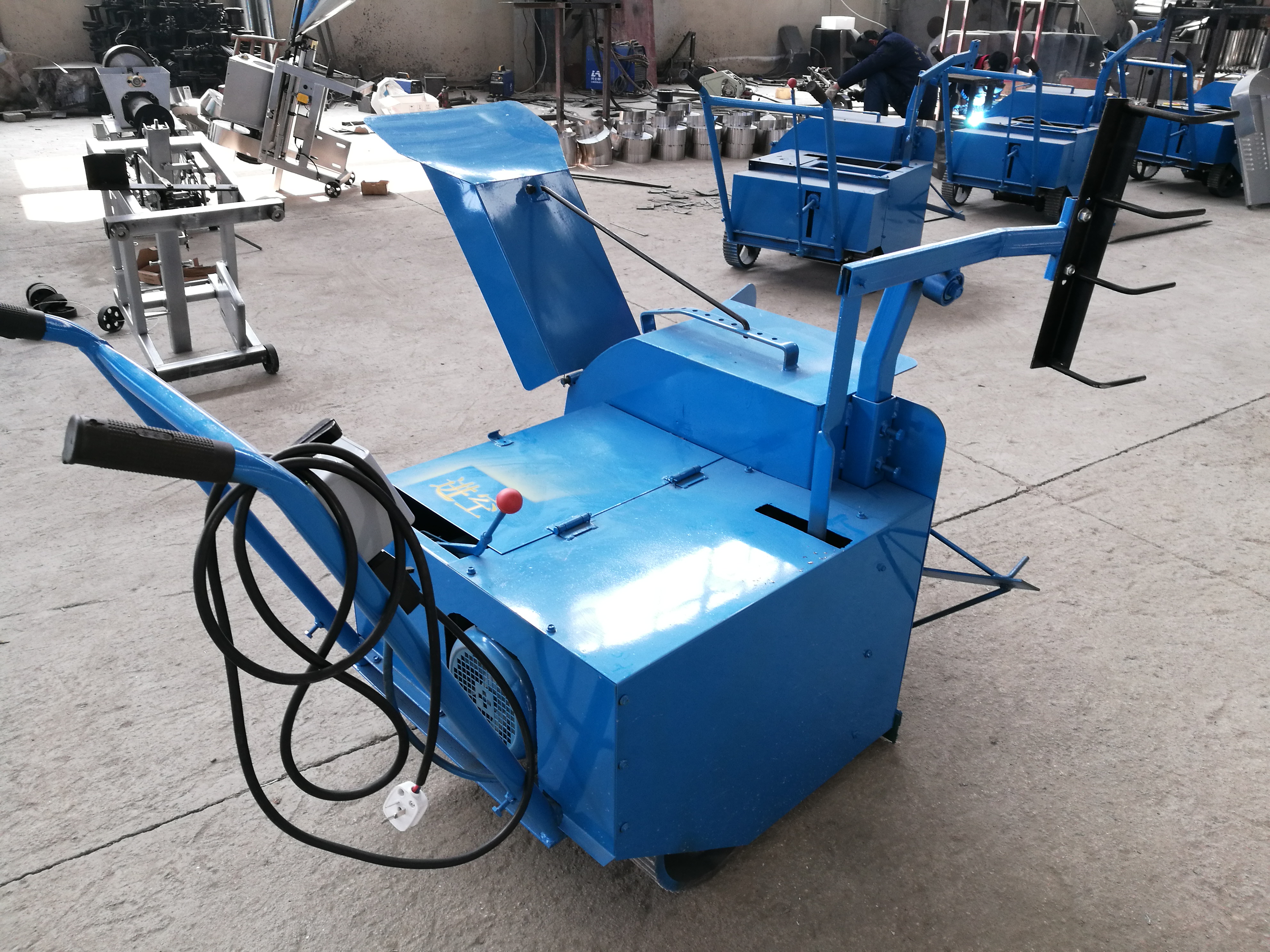 食用菌圖片/食用菌樣板圖 (2)