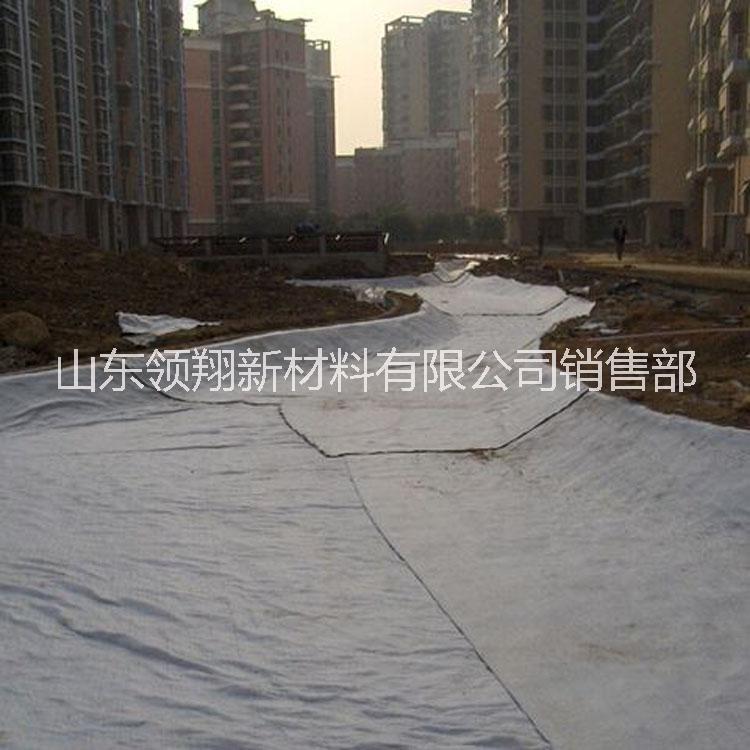 膨潤土防水毯 膨潤土防水毯報價 膨潤土防水毯電話 膨潤土防水毯批發(fā) 膨潤土防水毯直銷