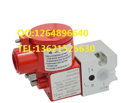 防爆電磁閥圖片/防爆電磁閥樣板圖 (2)