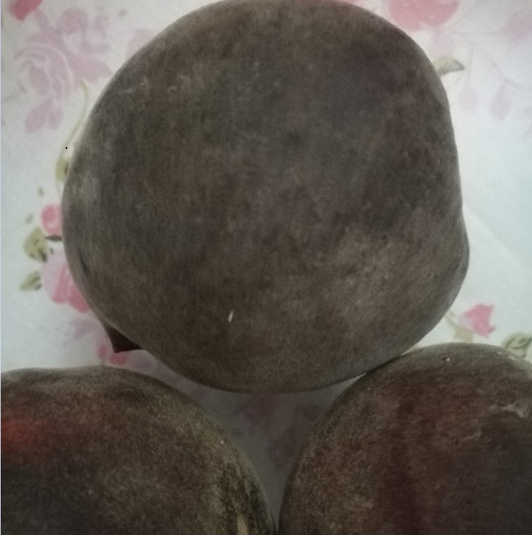 黑桃種植技術(shù)圖片