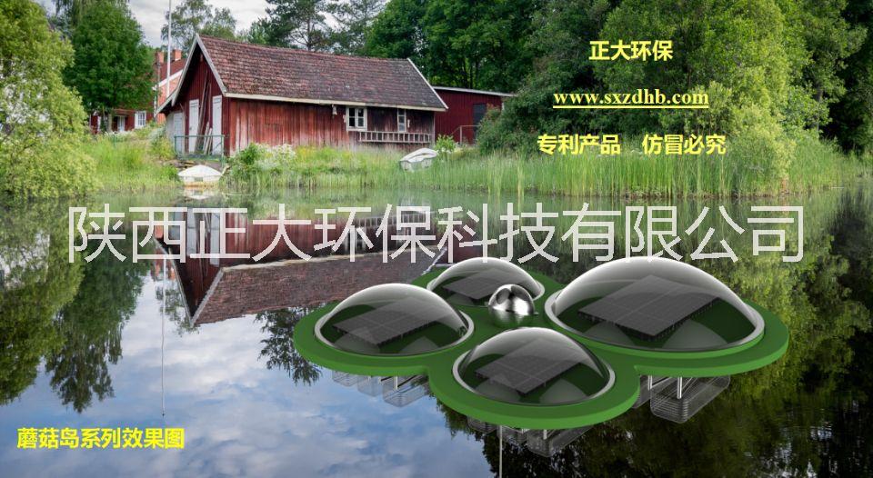 生態(tài)修復(fù)治理 生態(tài)修復(fù)治理蘑菇島系列太陽(yáng)能曝氣