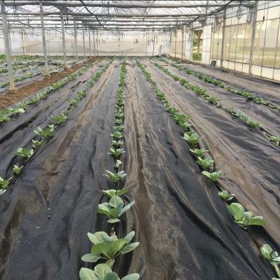 防草布圖片/防草布樣板圖 (3)