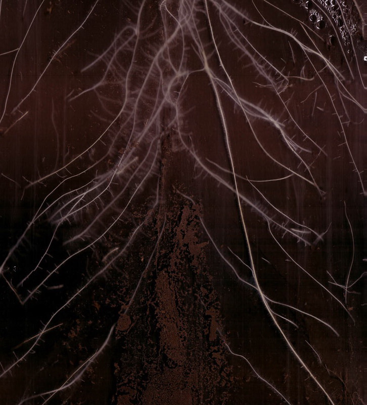 監(jiān)測(cè)系統(tǒng)圖片/監(jiān)測(cè)系統(tǒng)樣板圖 (2)