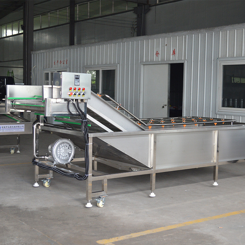 蔬菜清洗機 多功能洗菜機設(shè)備  平行毛輥清洗去泥廠家 永聯(lián)