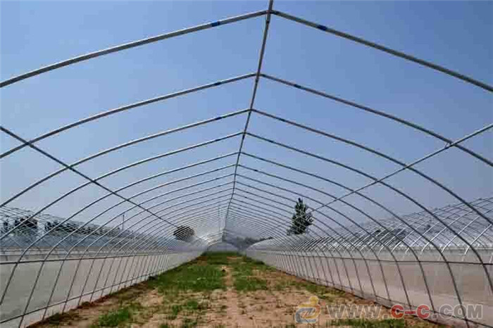 蔬菜大棚圖片/蔬菜大棚樣板圖 (3)