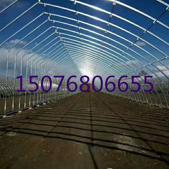 大棚骨架圖片/大棚骨架樣板圖 (2)