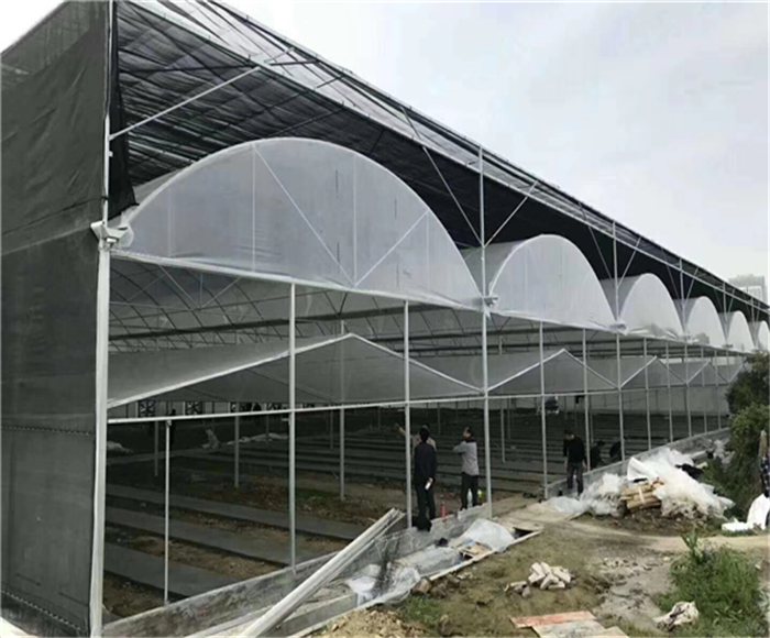 蔬菜大棚圖片/蔬菜大棚樣板圖 (2)