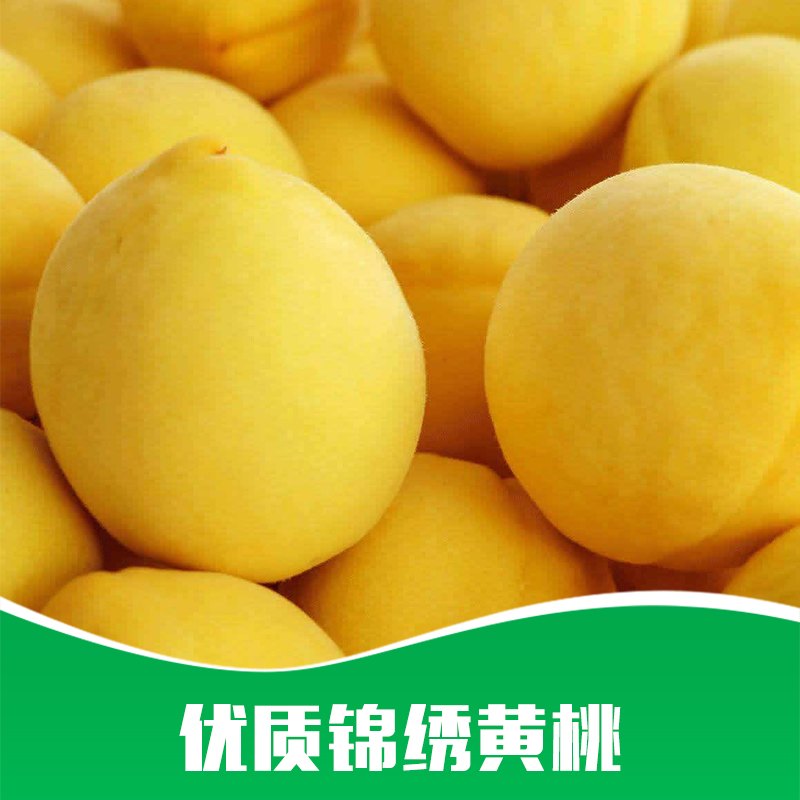 錦繡黃桃圖片/錦繡黃桃樣板圖 (2)