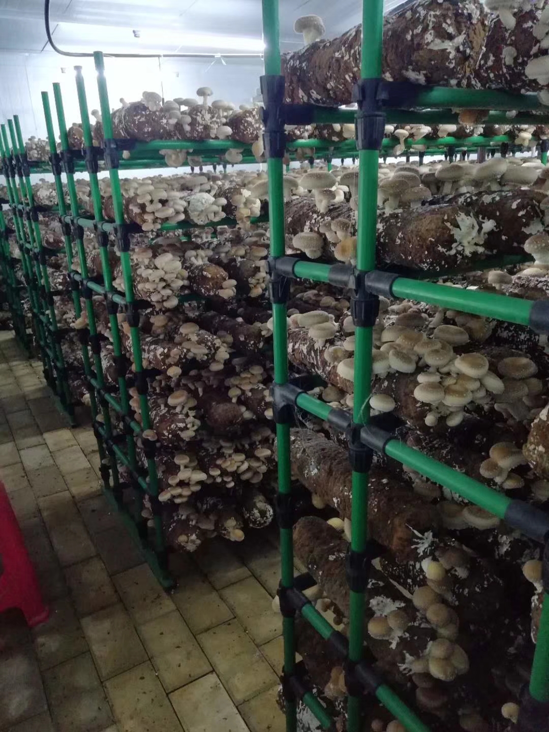香菇菌架 廠家直銷香菇架 蘑菇架 草莓架 A型架